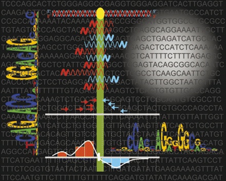 Bioinformatics_Theme