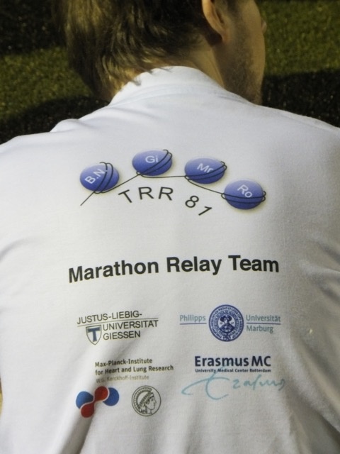 Night Marathon 2015 Back