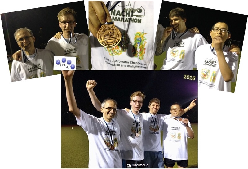 Night Marathon 2016 Group