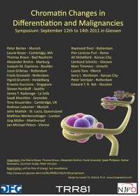 Symposium Poster Large