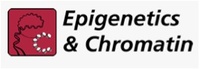Epigenetics & Chromatin Logo