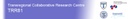 banner.jpg