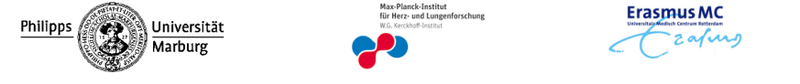 topbanner