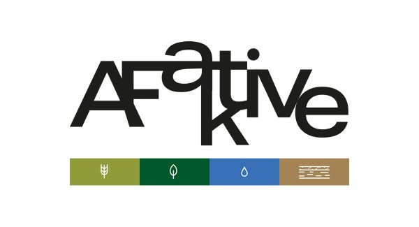 AFaktive_Rahmen.jpg
