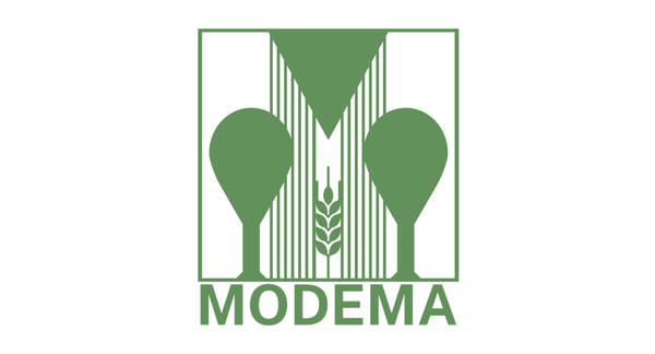 Modema_Rahmen.png
