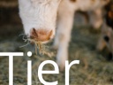 Projektbereich Tier