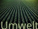 Projektbereich Umwelt
