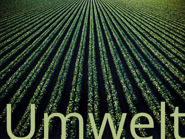 Projektbereich Umwelt