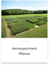 Sie befinden sich im Bereich des Kernexperiments Pflanze.