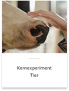Sie befinden sich im Bereich des Kernexperiments Tier