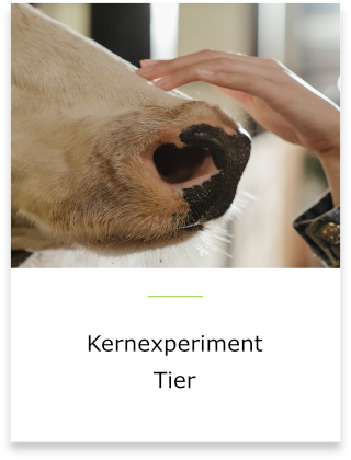 Sie befinden sich im Bereich des Kernexperiments Tier