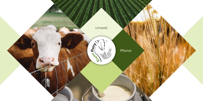 (6) GreenDiary setzt sich aus fünf Teilbereichen zusammen. Tier, Umwelt, Pflanze, integrierte Systemanalyse und Koordination.