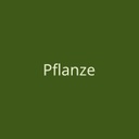 Klicken Sie hier, um zu dem Projektbereich "Pflanze" zu gelangen