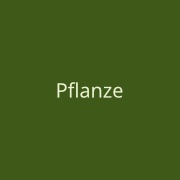 Klicken Sie hier, um zu dem Projektbereich "Pflanze" zu gelangen