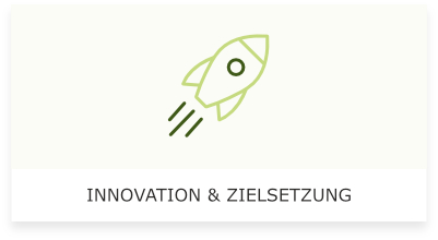 Geplante Innovation und Zielsetzung