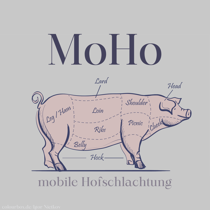 MoHO.png