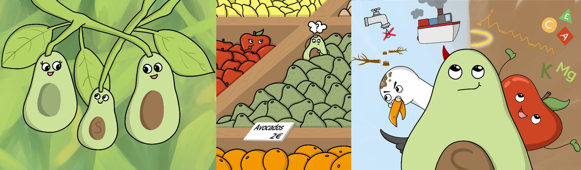 Avocadostory.png