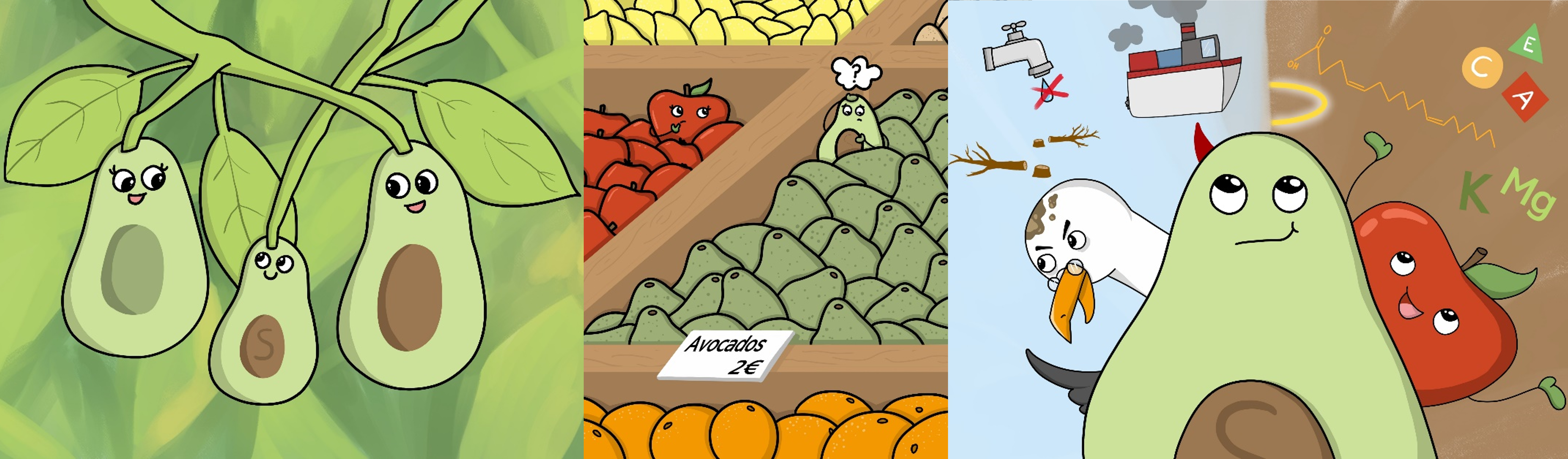 Avocadostory.png
