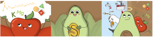 Avocado_3.PNG