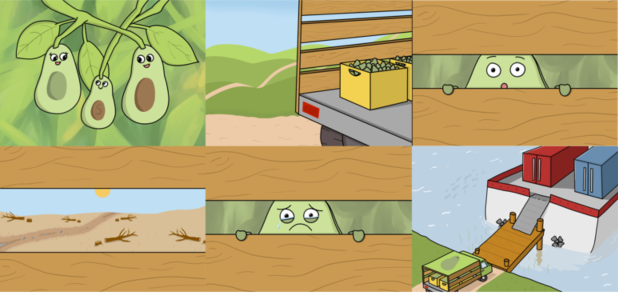 Avocado_1.PNG