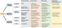Abb3_Rehmet.png