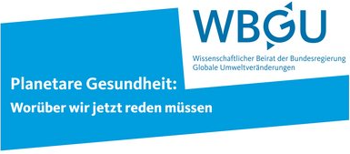 WBGU Planetare Gesundheit