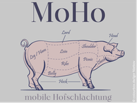 MoHo_Schwein_Querformat