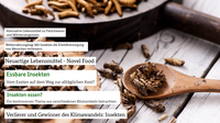 Titelbild2.png