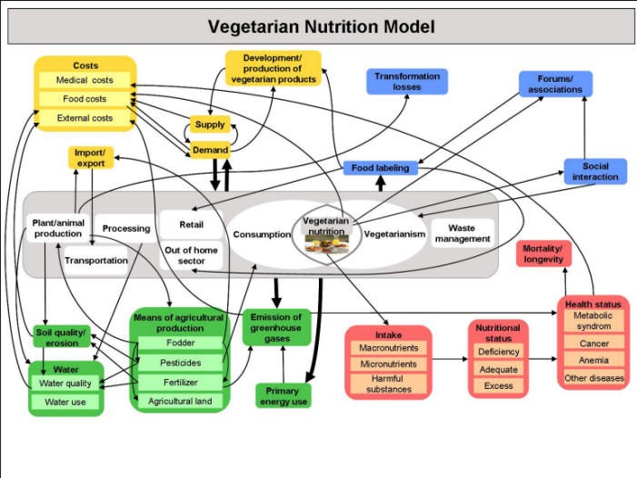 vegetarische Ernährung Modell