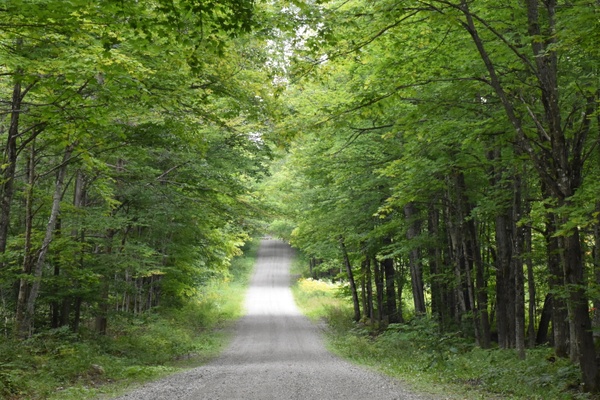 Nature.JPG