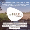 Bewässerung mit Abwasser in der Landwirtschaft - Erfahrungen aus dem Valle Mezquital, Mexiko.jpg