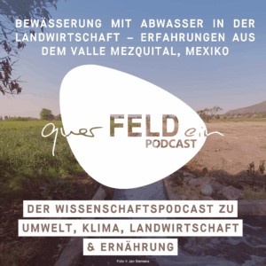 Bewässerung mit Abwasser in der Landwirtschaft - Erfahrungen aus dem Valle Mezquital, Mexiko.jpg