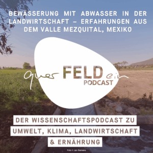 Bewässerung mit Abwasser in der Landwirtschaft - Erfahrungen aus dem Valle Mezquital, Mexiko.jpg