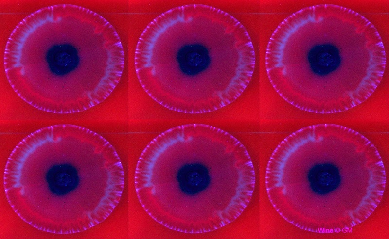 Winepupille.jpg