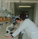 BP010a.jpg