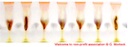 Cheers to non-profit association.jpg