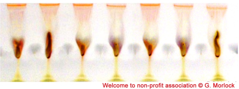 Cheers to non-profit association.jpg