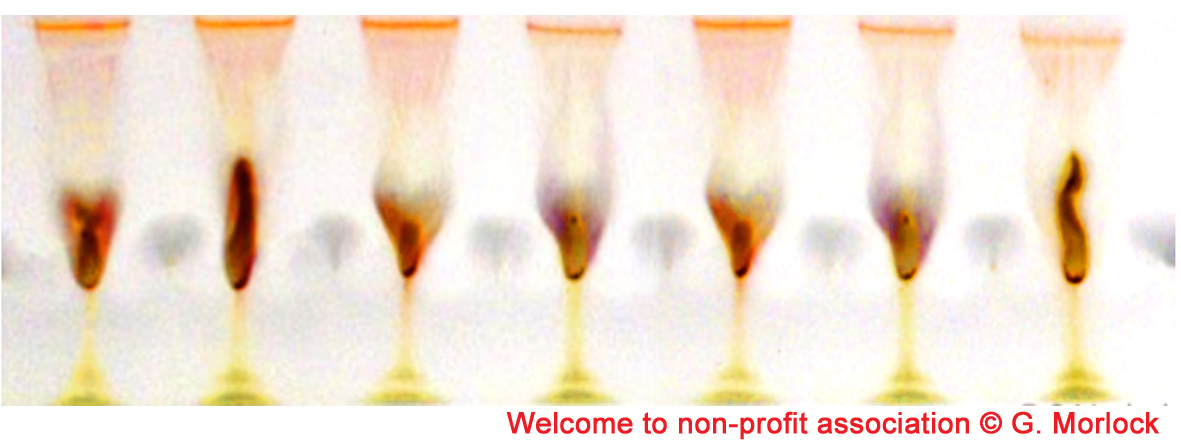 Cheers to non-profit association.jpg