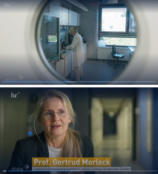 Bürgerrat.jpg