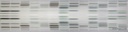 Biopolymers