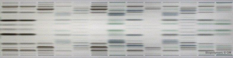 Biopolymers