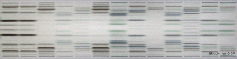 Biopolymers