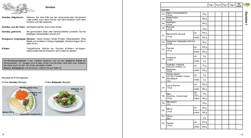 Ernährungsprotokoll Beispiel 1