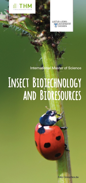 IBTFlyer2.jpg