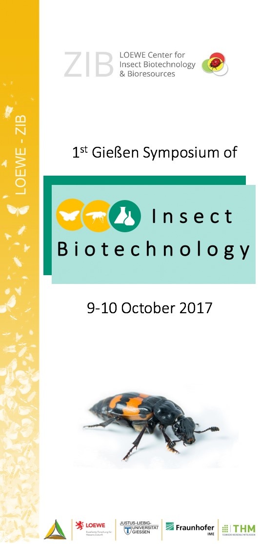 flyer.jpg