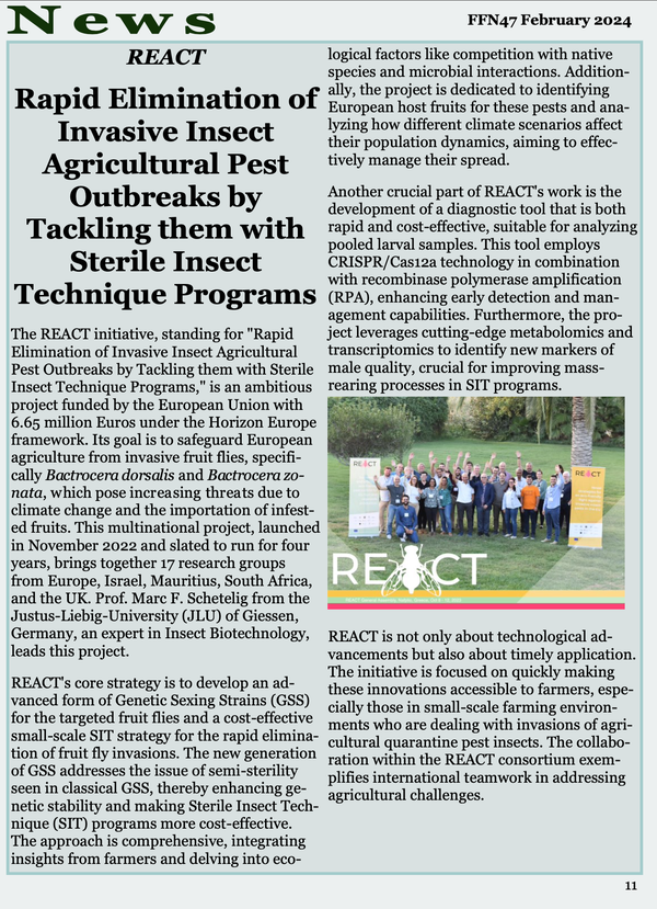 Fruit Fly News - REACT