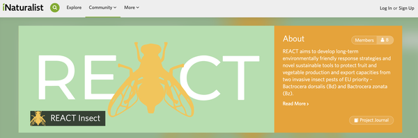 iNaturalist_REACT.png