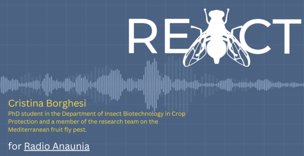 REACT_Radio_Anaunia.png