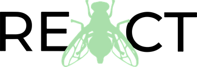 logo.n2 vectorized.png