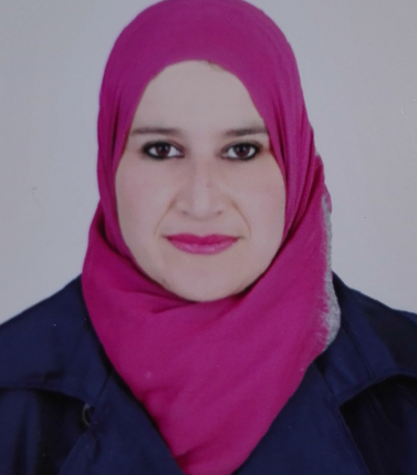 Zina Nasfi